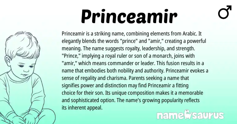 Infographic about Princeamir name meaning, Princeamir is a name from English origin(s).