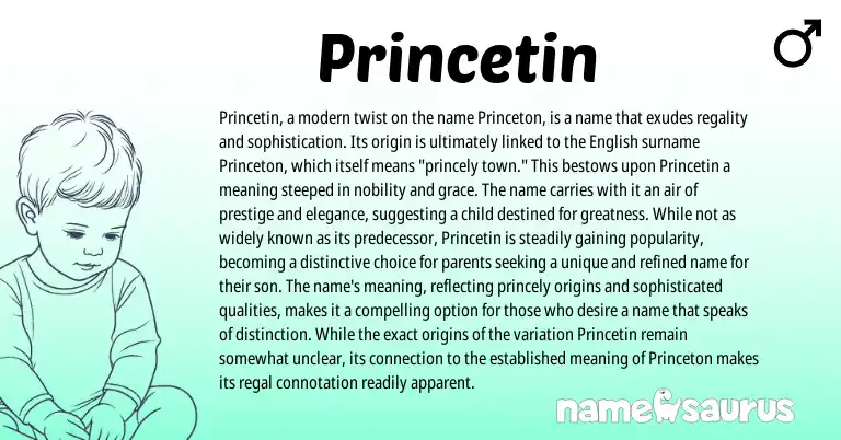 Infographic about Princetin name meaning, Princetin is a name from American origin(s).