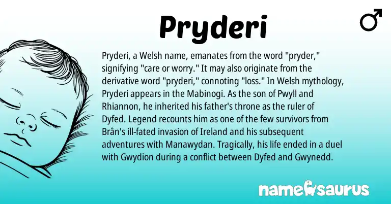 Infographic about Pryderi name meaning, Pryderi is a name from Ireland, Welsh origin(s).