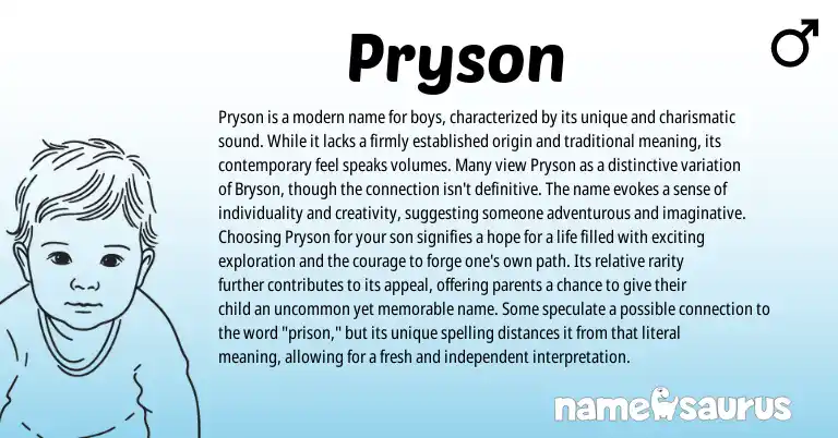 Infographic about Pryson name meaning, Pryson is a name from Other origin(s).