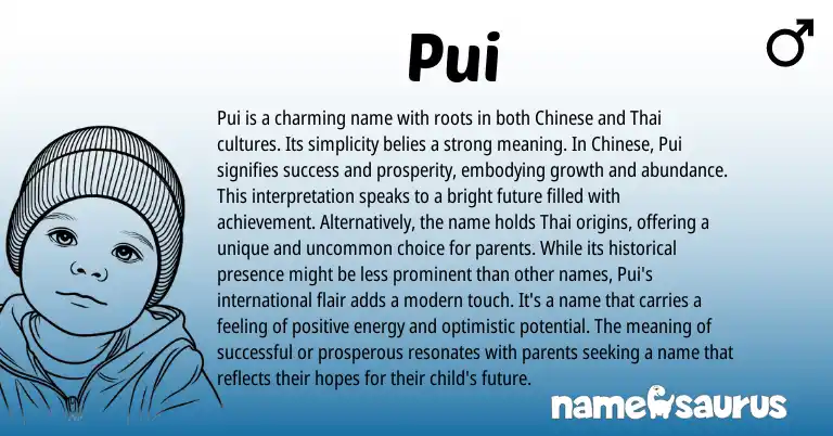 Infographic about Pui name meaning, Pui is a name from Chinese origin(s).
