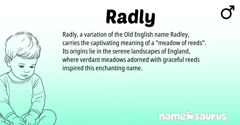 Infographic about Radly name meaning, Radly is a name from Old English, England origin(s).