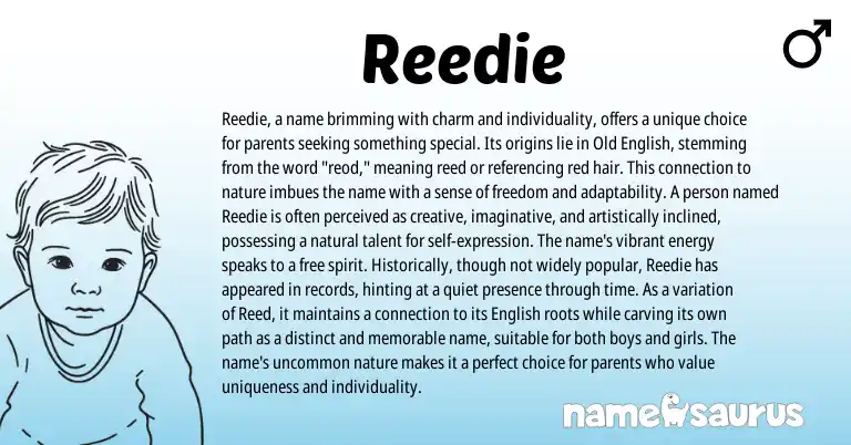 Infographic about Reedie name meaning, Reedie is a name from English origin(s).