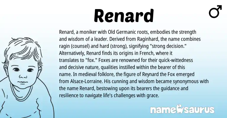 Infographic about Renard name meaning, Renard is a name from French, Old Germanic origin(s).
