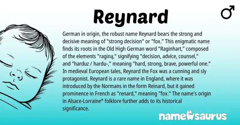 Infographic about Reynard name meaning, Reynard is a name from Old High German, European, England, French, German origin(s).