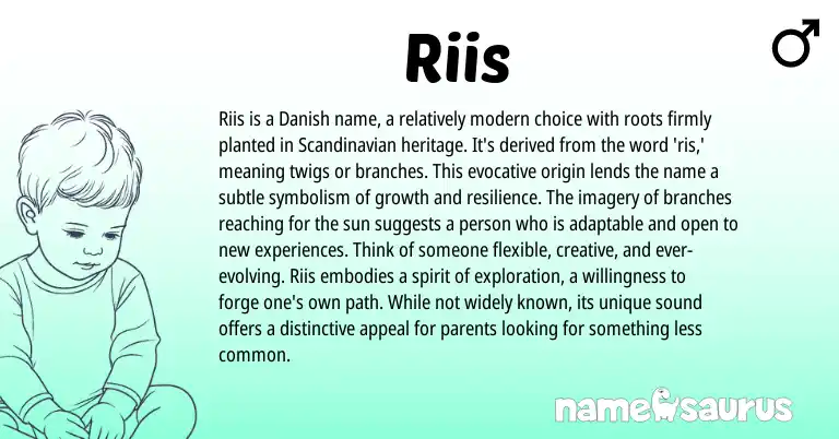Infographic about Riis name meaning, Riis is a name from Danish origin(s).