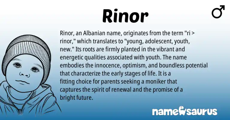 Infographic about Rinor name meaning, Rinor is a name from Albanian origin(s).
