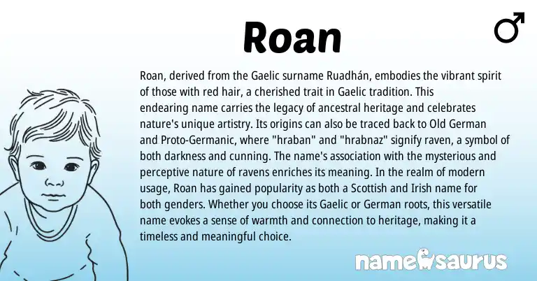 Infographic about Roan name meaning, Roan is a name from Irish, Gaelic, Germanic, Old German, German, Scottish origin(s).