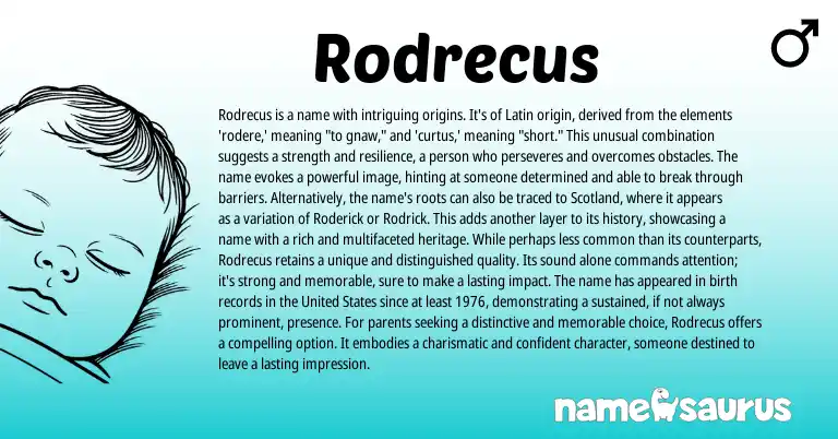 Infographic about Rodrecus name meaning, Rodrecus is a name from Latin origin(s).