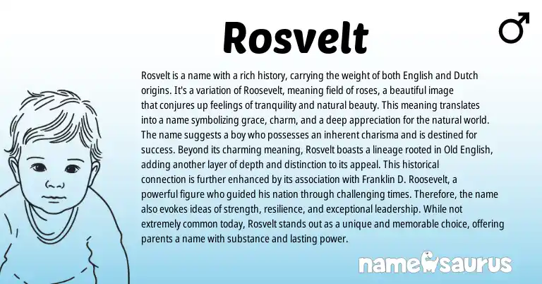 Infographic about Rosvelt name meaning, Rosvelt is a name from English, Dutch origin(s).