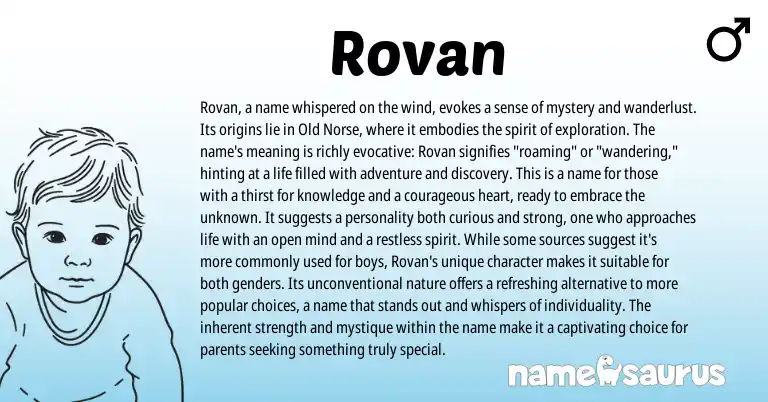 Infographic about Rovan name meaning, Rovan is a name from Norse origin(s).