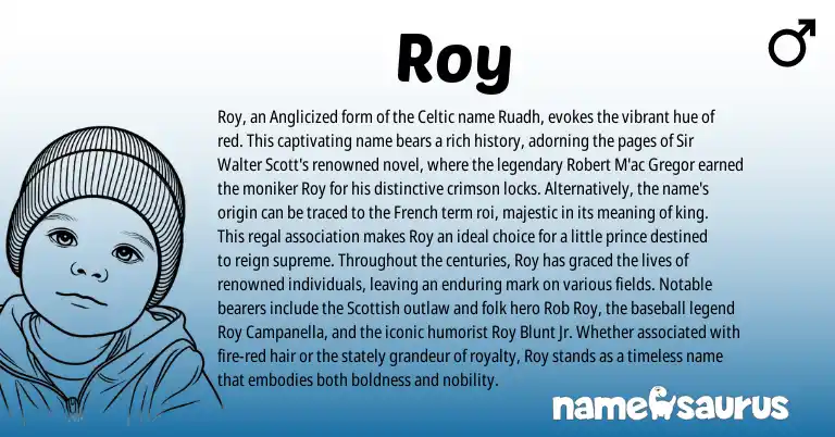 Infographic about Roy name meaning, Roy is a name from French, Celtic, Scottish origin(s).