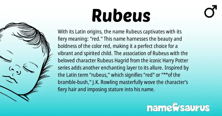 Infographic about Rubeus name meaning, Rubeus is a name from Latin origin(s).