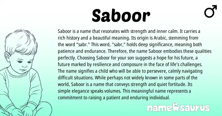 Infographic about Saboor name meaning, Saboor is a name from Arabic, Persian origin(s).