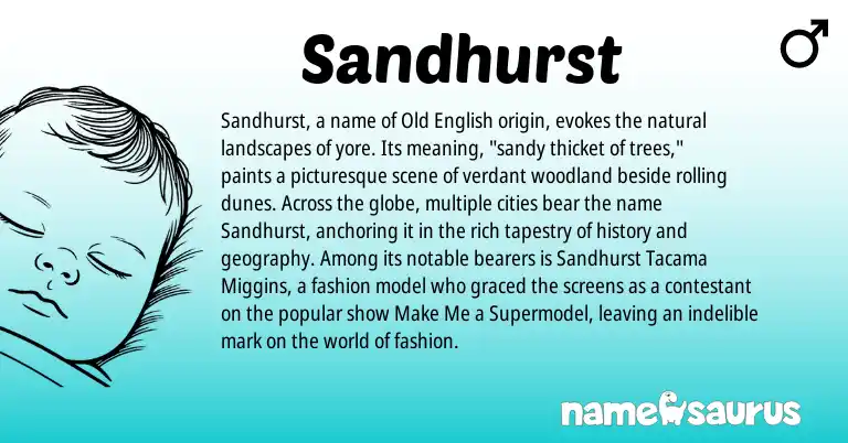 Infographic about Sandhurst name meaning, Sandhurst is a name from Old English origin(s).