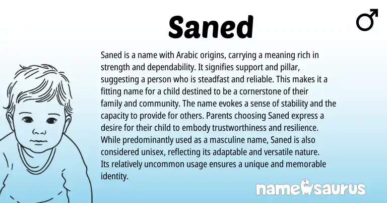 Infographic about Saned name meaning, Saned is a name from Arabic origin(s).