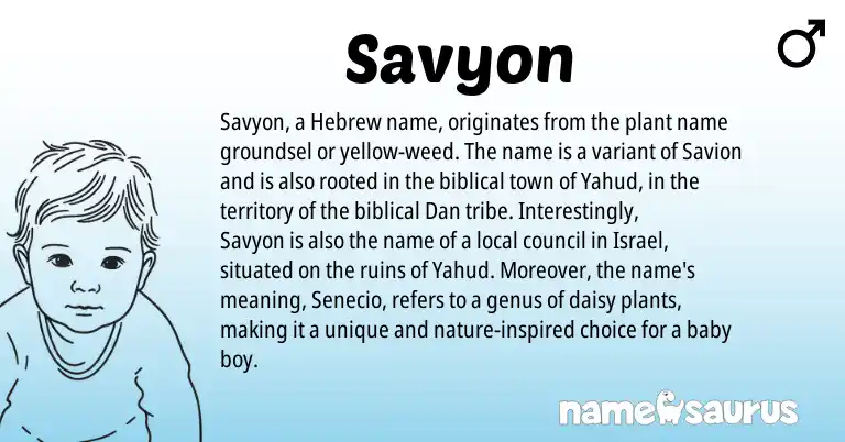Infographic about Savyon name meaning, Savyon is a name from Hebrew origin(s).