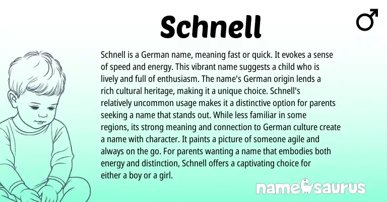 Infographic about Schnell name meaning, Schnell is a name from Germanic origin(s).