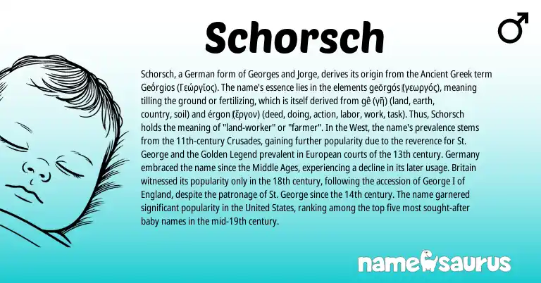 Infographic about Schorsch name meaning, Schorsch is a name from Ancient Greek, United States, European, England, German origin(s).