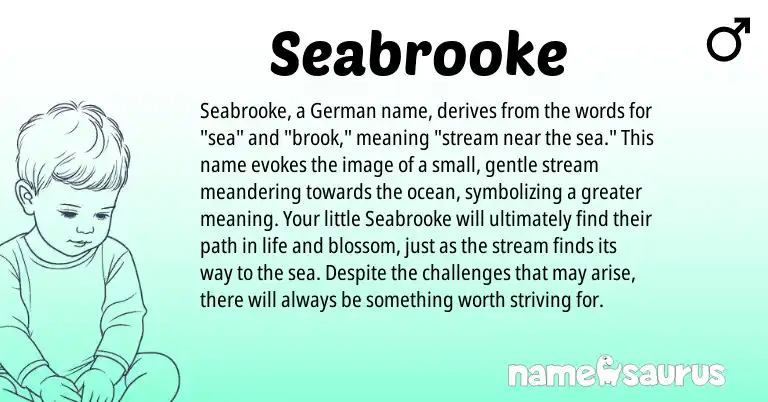 Infographic about Seabrooke name meaning, Seabrooke is a name from German origin(s).