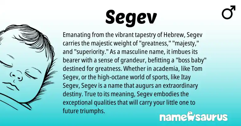 Infographic about Segev name meaning, Segev is a name from Hebrew origin(s).