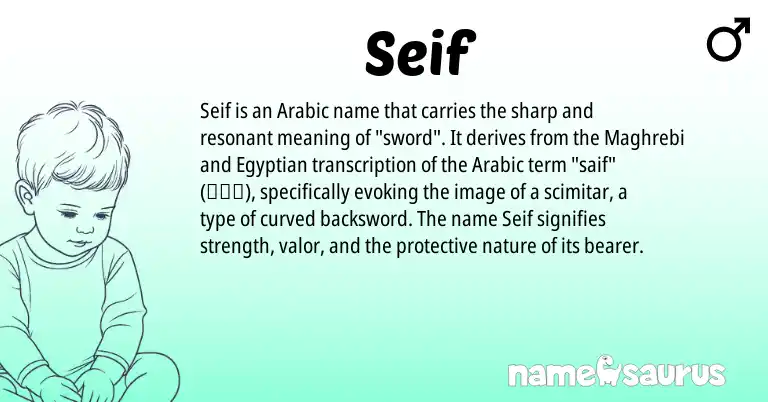 Infographic about Seif name meaning, Seif is a name from Egyptian, Arabic origin(s).