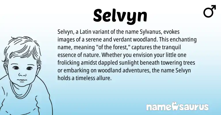 Infographic about Selvyn name meaning, Selvyn is a name from Latin origin(s).
