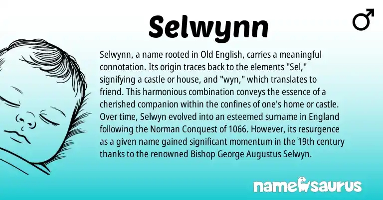 Infographic about Selwynn name meaning, Selwynn is a name from Old English, Norman, England origin(s).