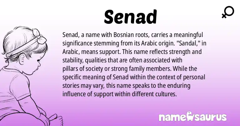 Infographic about Senad name meaning, Senad is a name from Bosnian origin(s).