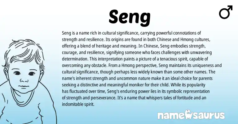 Infographic about Seng name meaning, Seng is a name from Chinese origin(s).