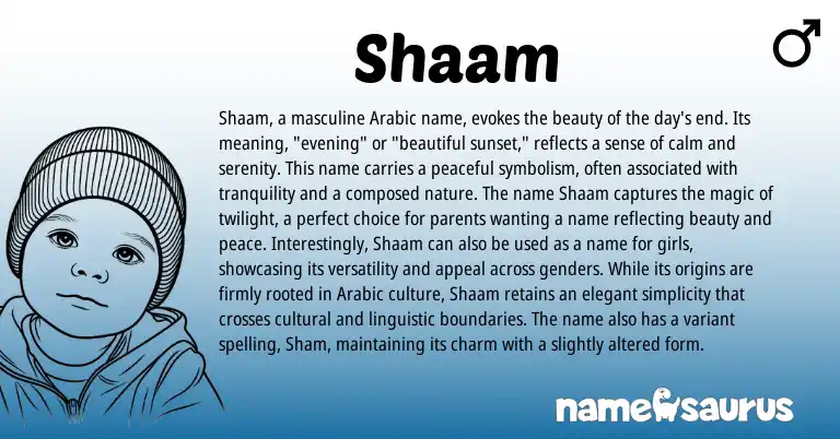 Infographic about Shaam name meaning, Shaam is a name from Arabic origin(s).