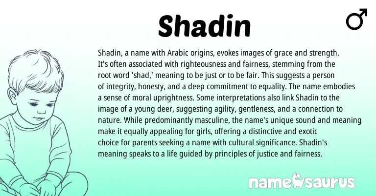 Infographic about Shadin name meaning, Shadin is a name from Arabic origin(s).
