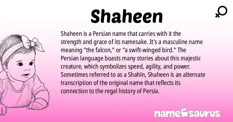 Infographic about Shaheen name meaning, Shaheen is a name from Persian origin(s).