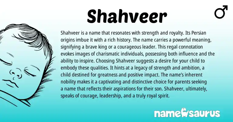 Infographic about Shahveer name meaning, Shahveer is a name from Persian origin(s).