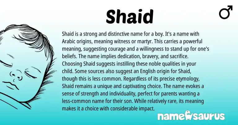 Infographic about Shaid name meaning, Shaid is a name from Arabic origin(s).