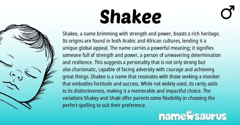 Infographic about Shakee name meaning, Shakee is a name from Arabic origin(s).