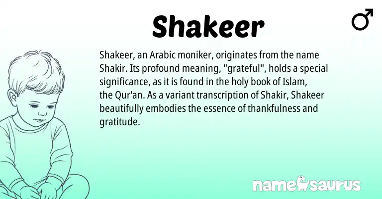 Infographic about Shakeer name meaning, Shakeer is a name from Arabic origin(s).