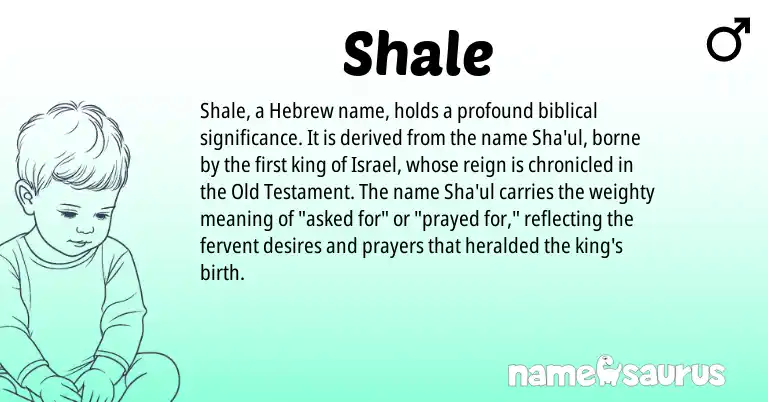 Infographic about Shale name meaning, Shale is a name from Hebrew origin(s).