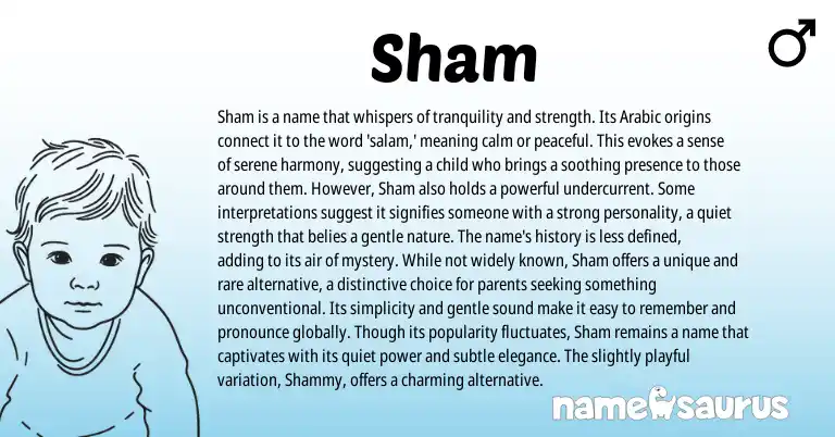 Infographic about Sham name meaning, Sham is a name from Hindi, Arabic origin(s).