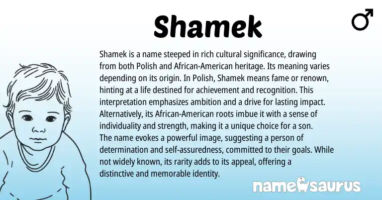 Infographic about Shamek name meaning, Shamek is a name from Polish origin(s).