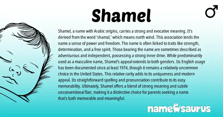 Infographic about Shamel name meaning, Shamel is a name from Arabic origin(s).