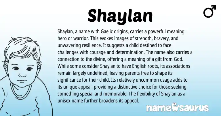 Infographic about Shaylan name meaning, Shaylan is a name from Irish, Turkish, Gaelic origin(s).