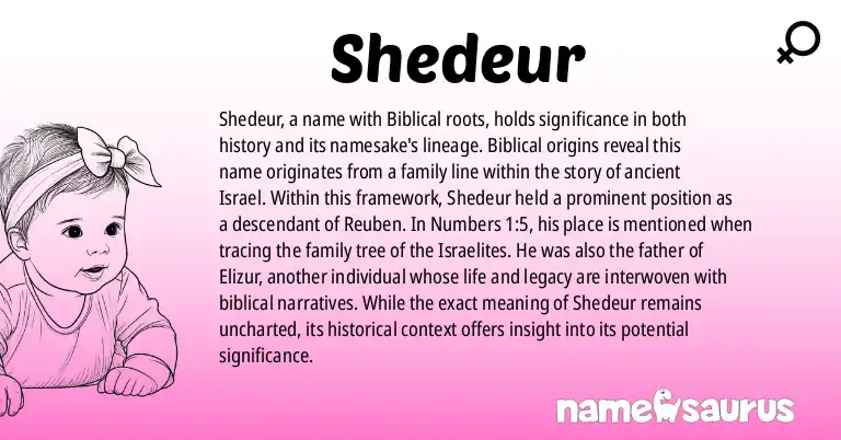 Infographic about Shedeur name meaning, Shedeur is a name from Biblical origin(s).