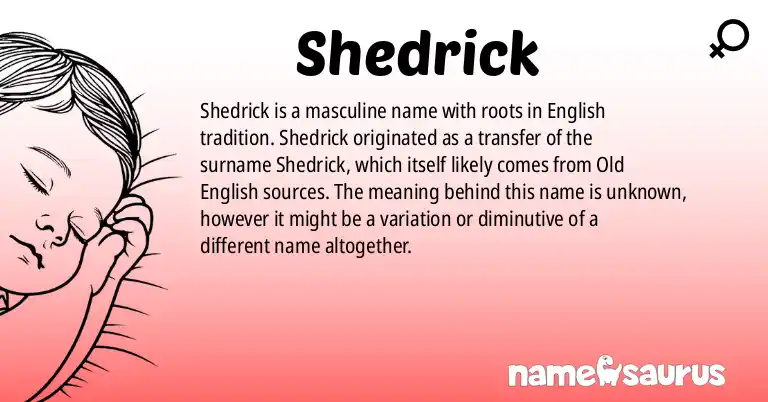 Infographic about Shedrick name meaning, Shedrick is a name from English origin(s).