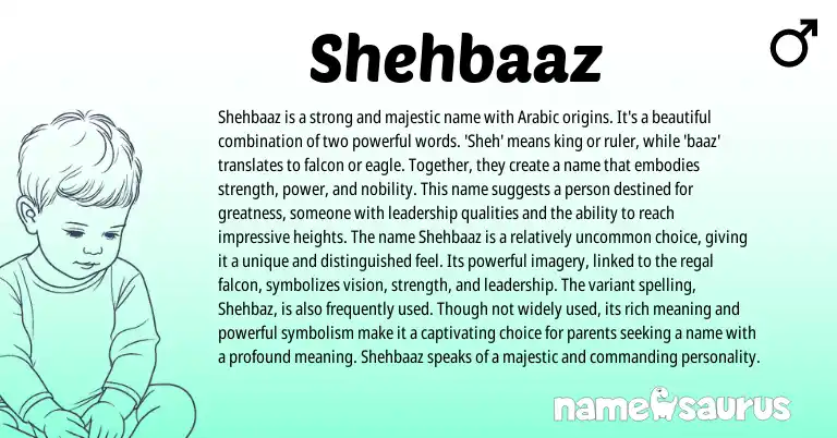 Infographic about Shehbaaz name meaning, Shehbaaz is a name from Persian, Arabic origin(s).