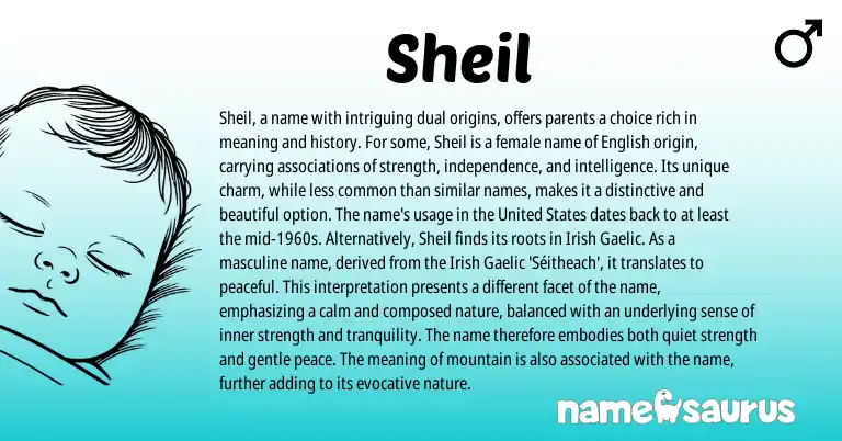 Infographic about Sheil name meaning, Sheil is a name from Indian, Gaelic, Irish origin(s).