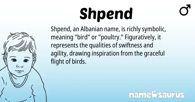 Infographic about Shpend name meaning, Shpend is a name from Albanian origin(s).