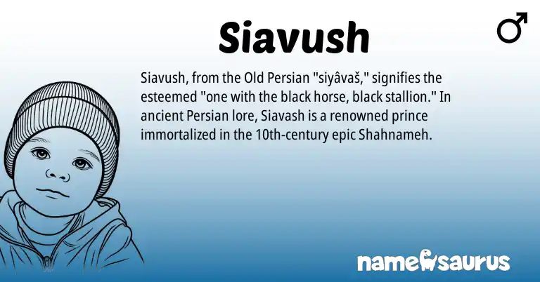 Infographic about Siavush name meaning, Siavush is a name from Persian, Old Persian origin(s).