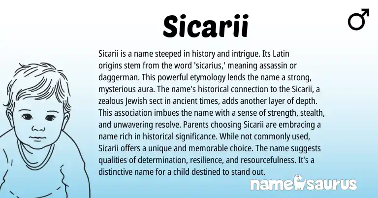 Infographic about Sicarii name meaning, Sicarii is a name from Latin origin(s).