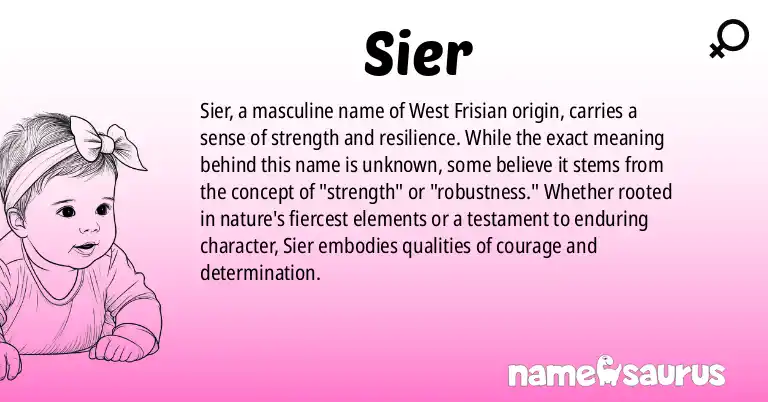 Infographic about Sier name meaning, Sier is a name from West Frisian origin(s).